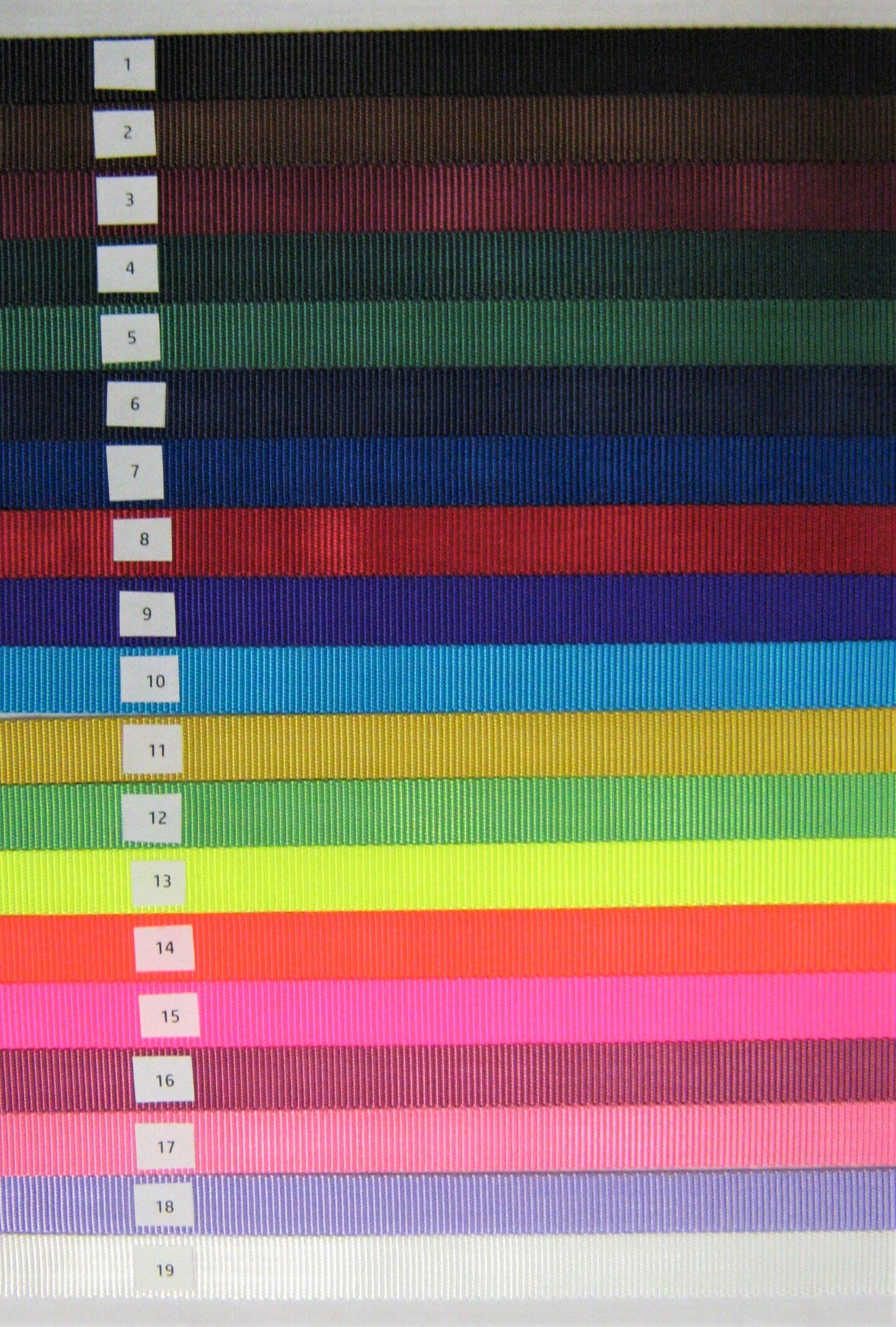 Breakaway Leather Crown Mini Horse Halter