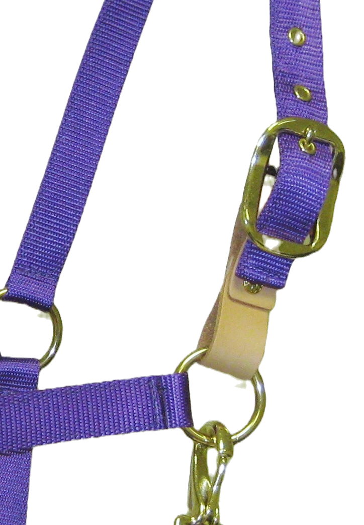 Solid Color Nylon Halter image 12