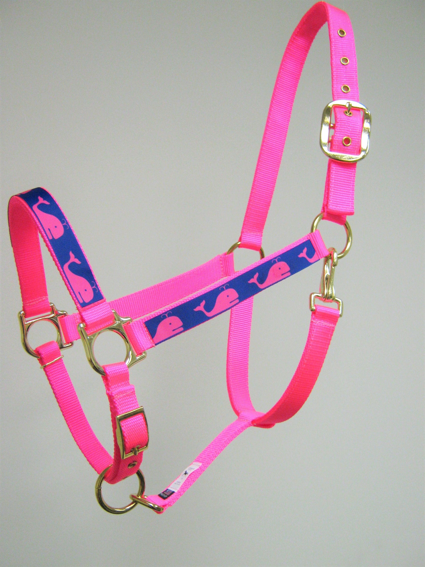 Whale Horse Halter