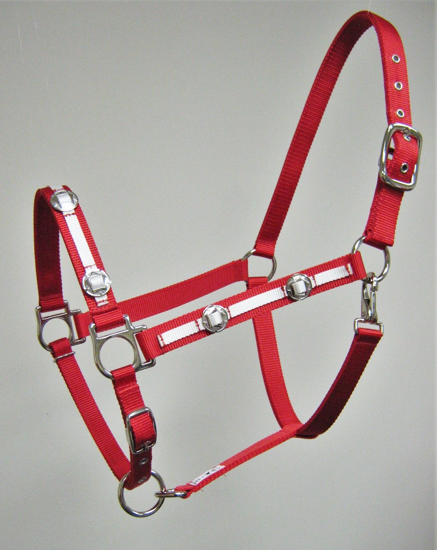 Outlaw Concho Horse Halter