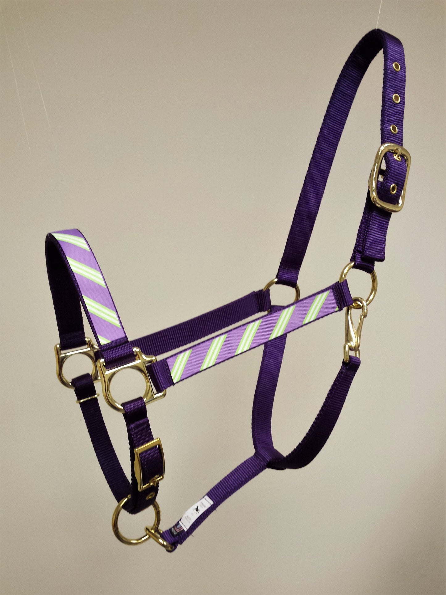 Purple & Green Stripe Horse Halter