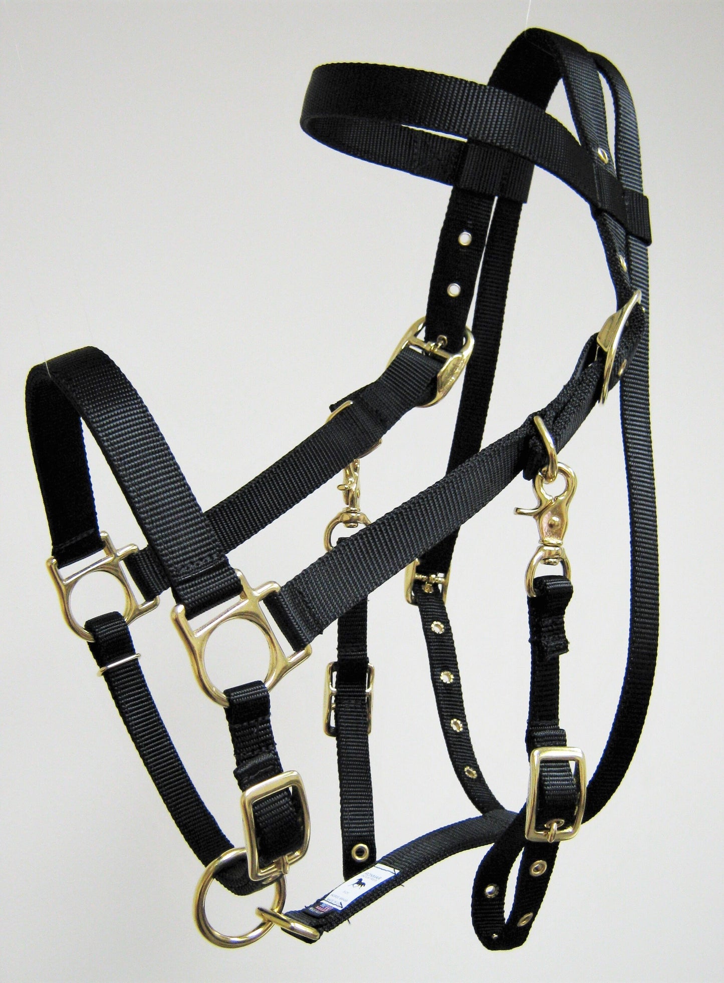 Halter Bridle Combo