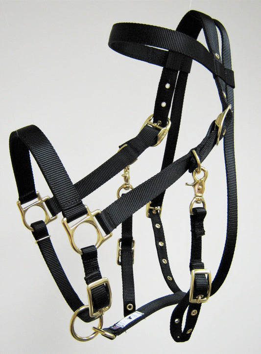 Halter Bridle Combo