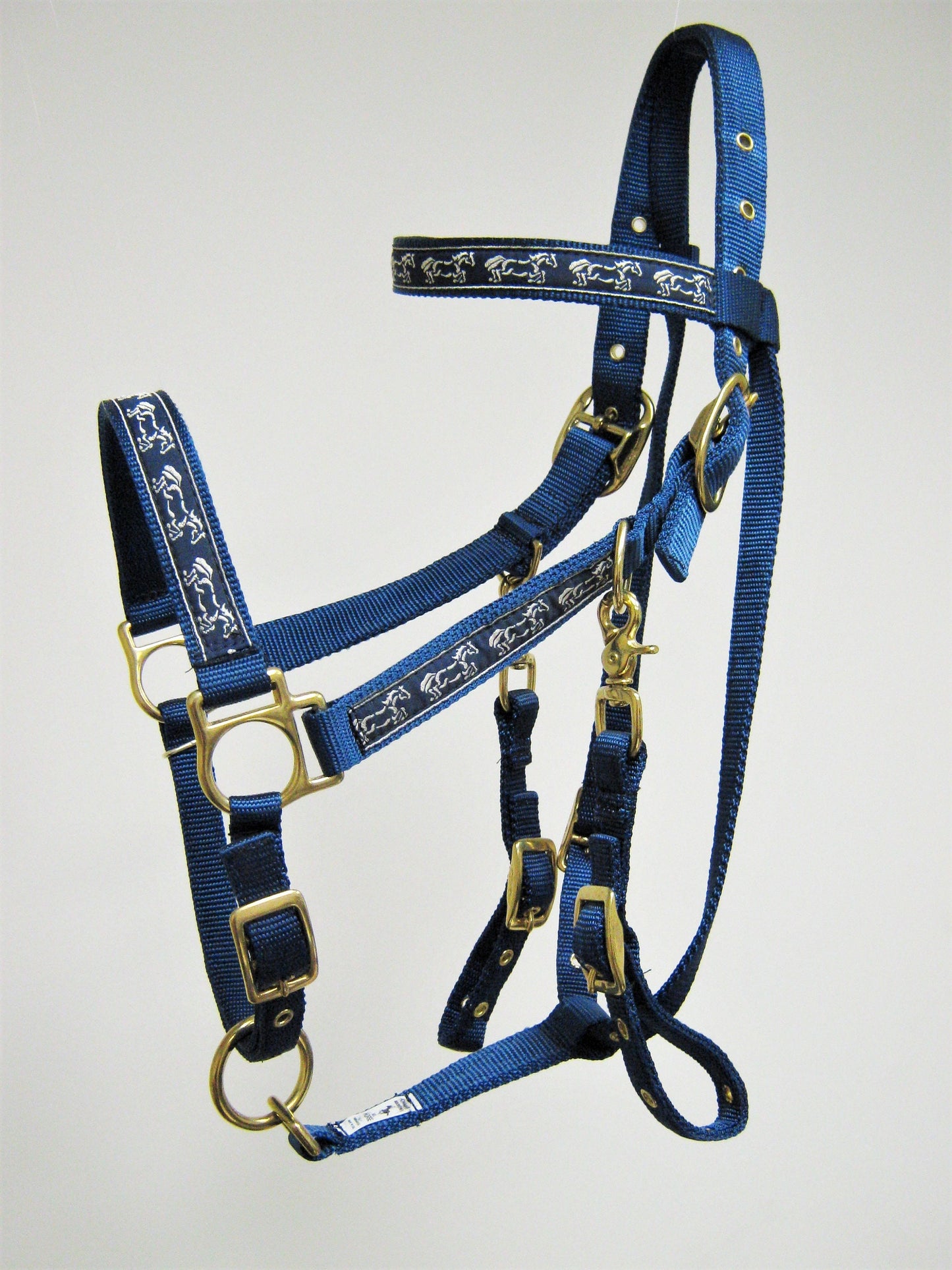 Wild Horses Horse Halter Bridle Combination