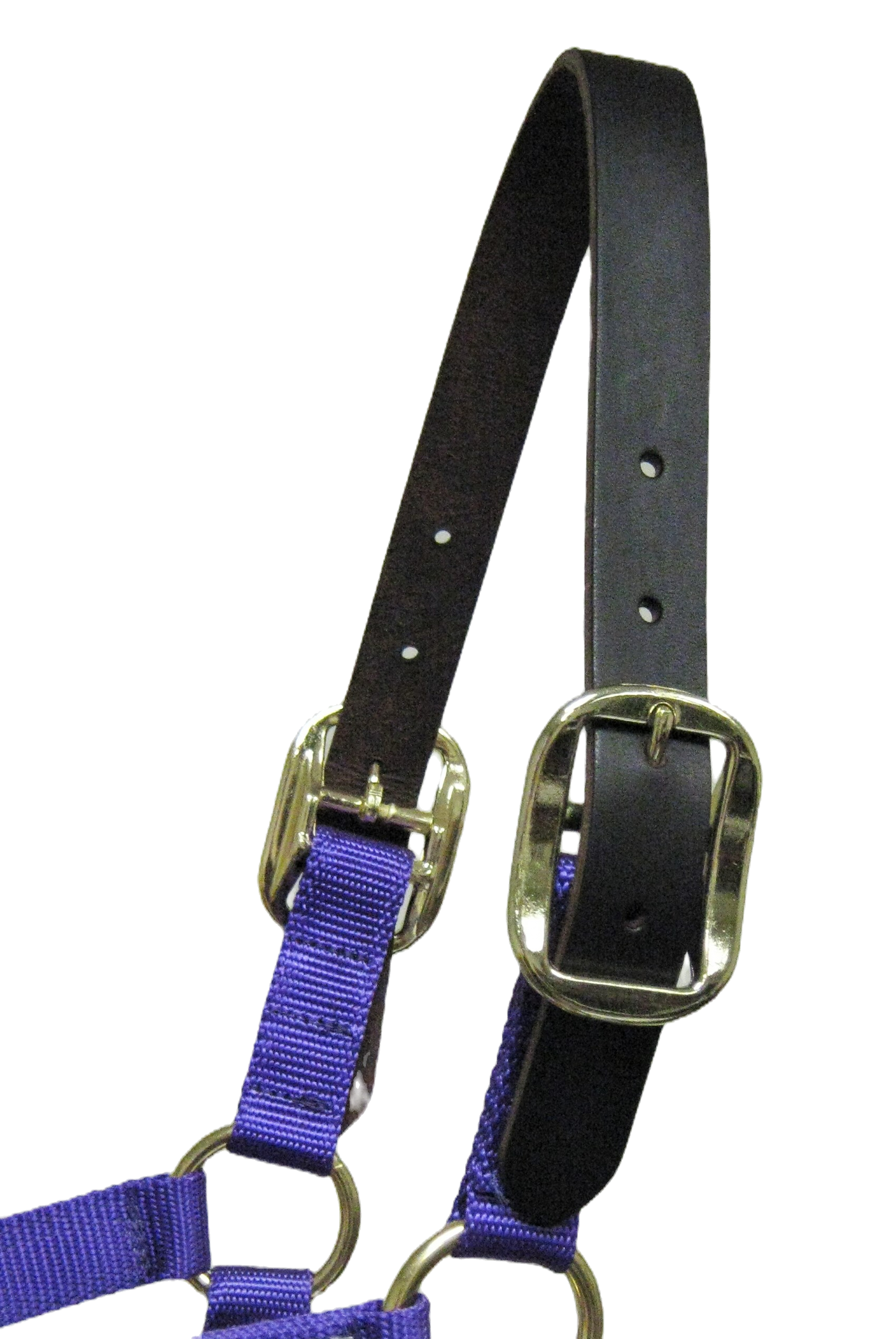 Solid Color Nylon Halter image 11