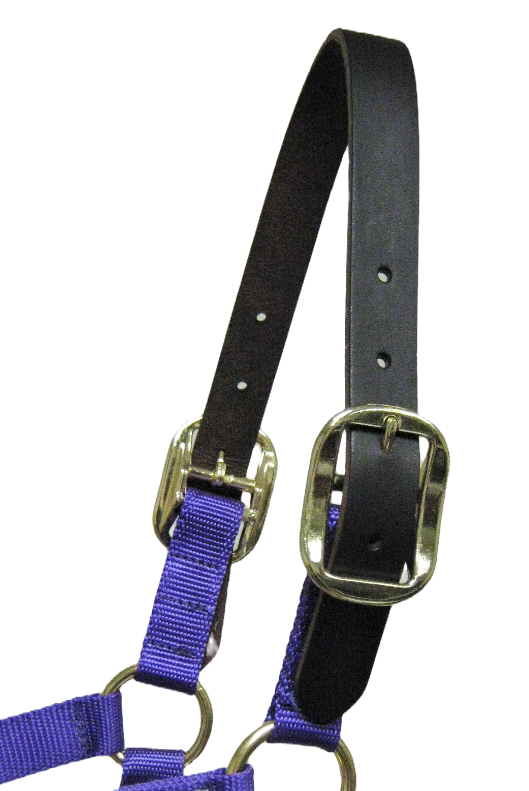 Solid Color Nylon Halter image 11