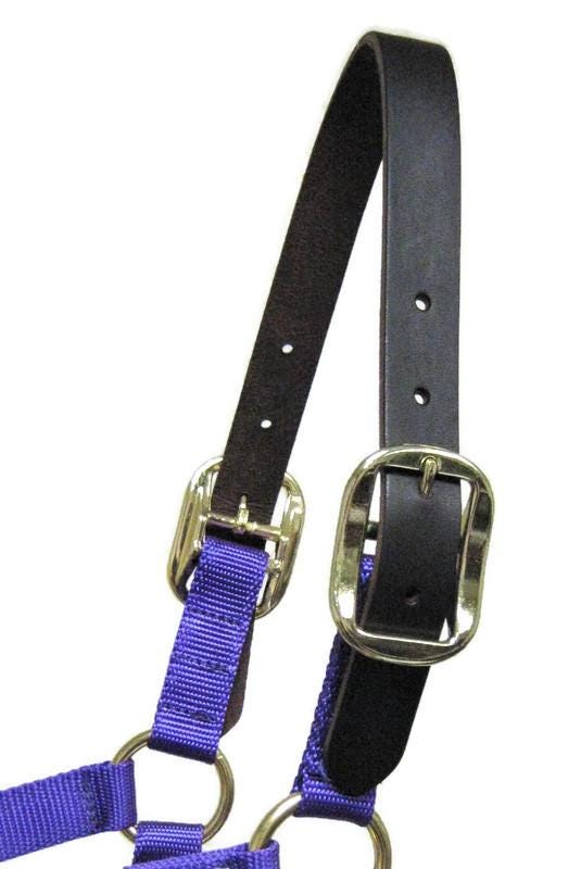 Love Horse Halter