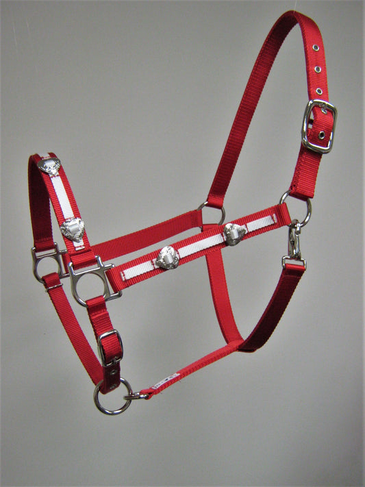 Heart Concho Horse Halter