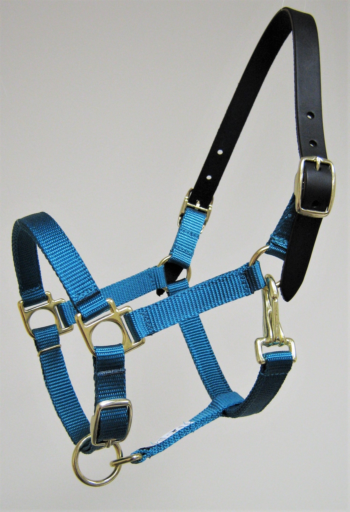 Breakaway Leather Crown Mini Horse Halter