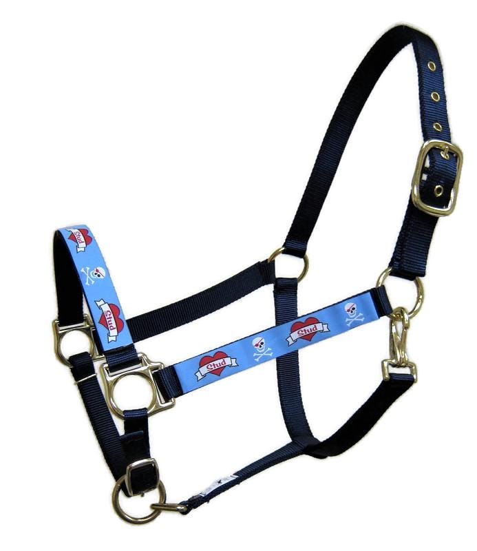 Love Stud Horse Halter