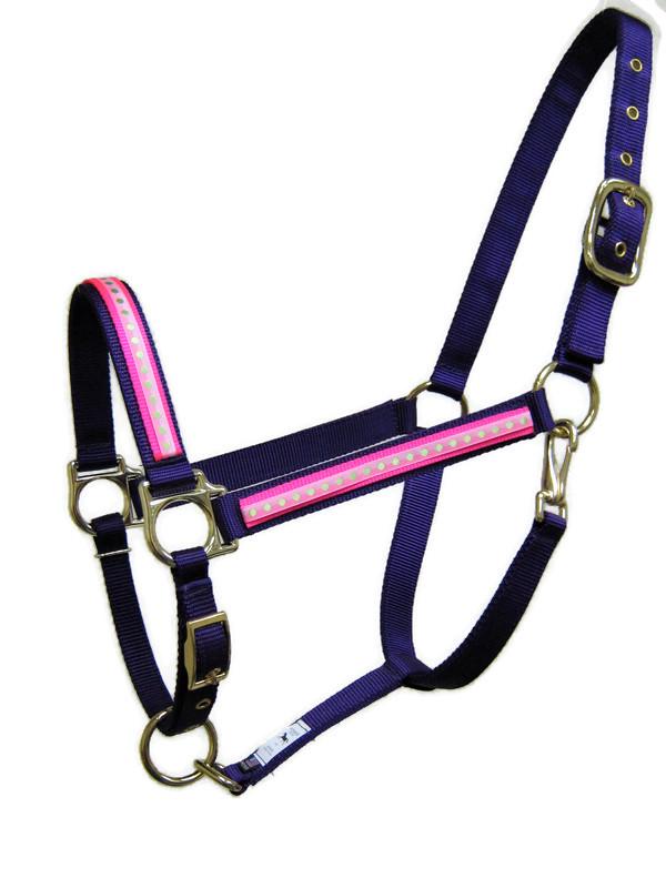 Two Tone Dots Horse Halter