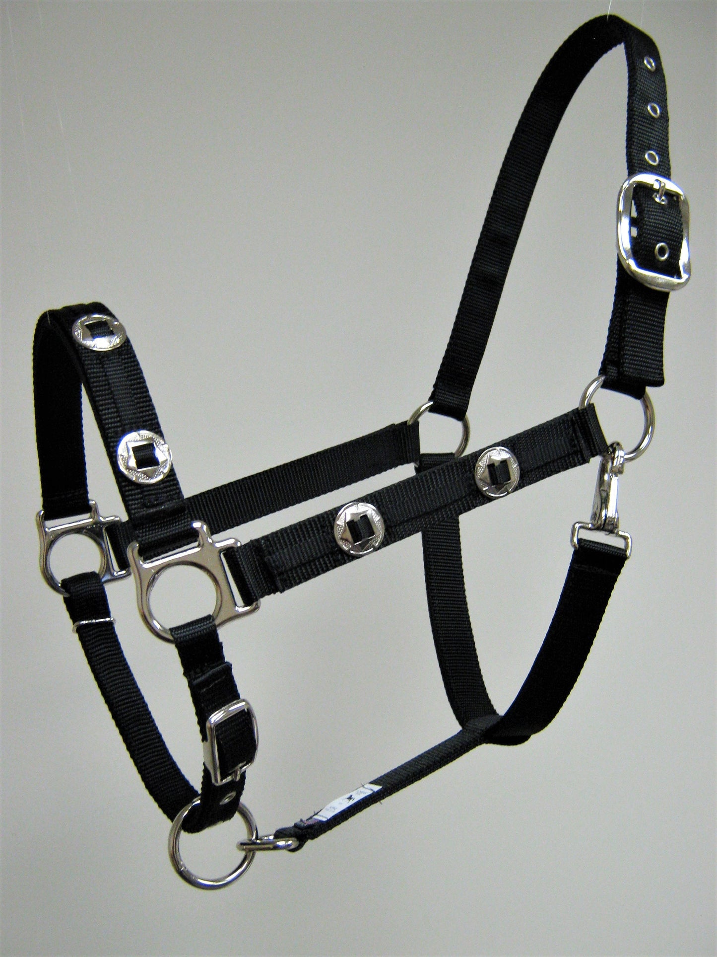 Outlaw Concho Horse Halter