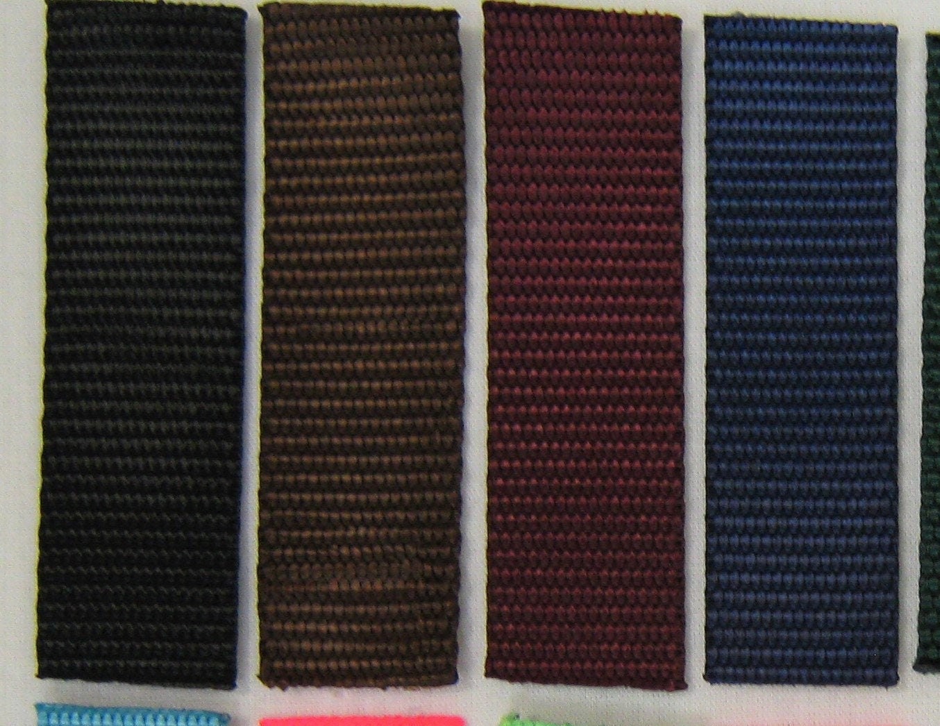 Halter Bridle Combo