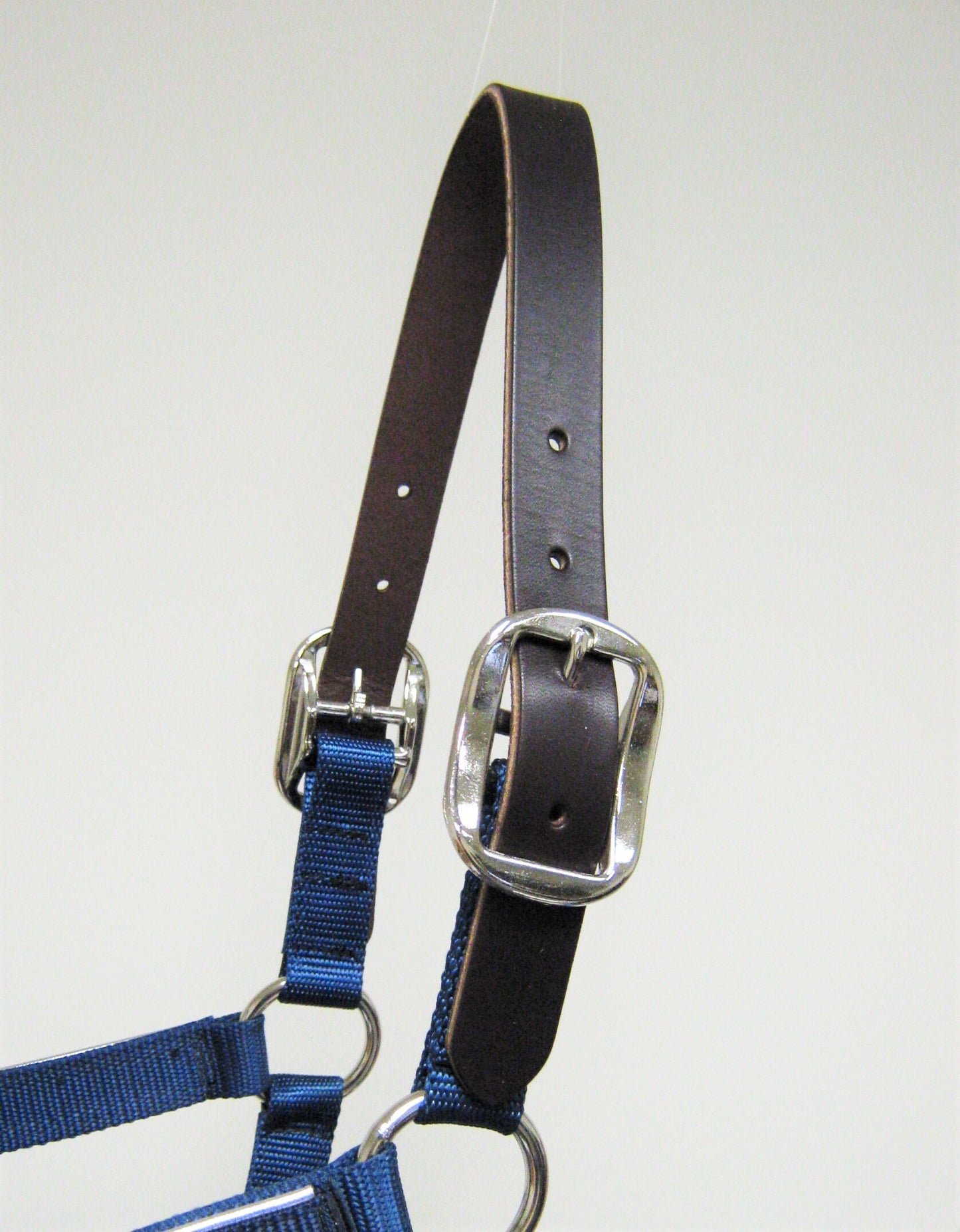 Jumper Horse Nylon Halter