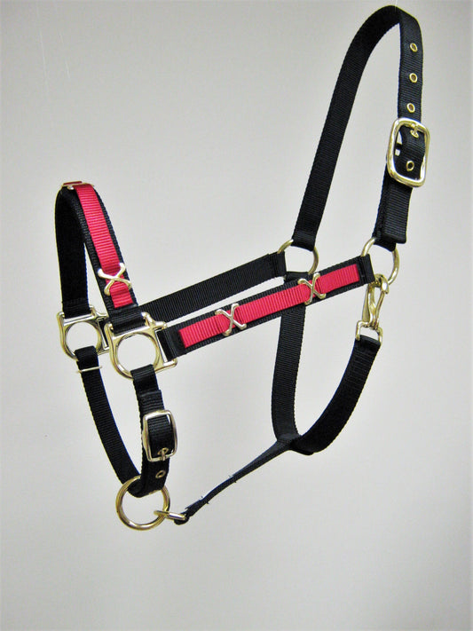 Two Tone Concho X Horse Halter