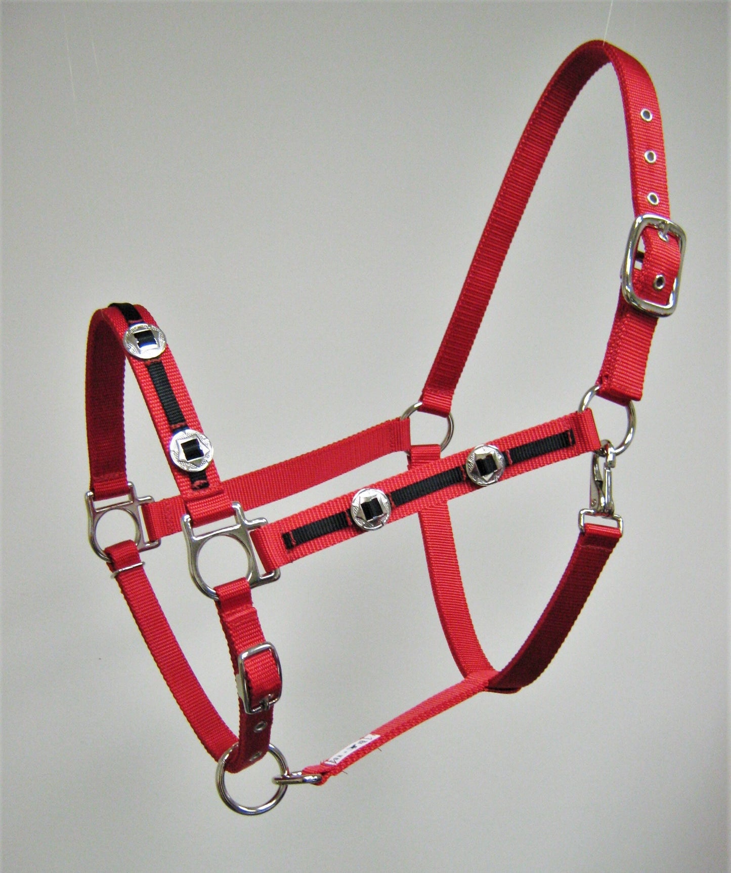 Outlaw Concho Horse Halter