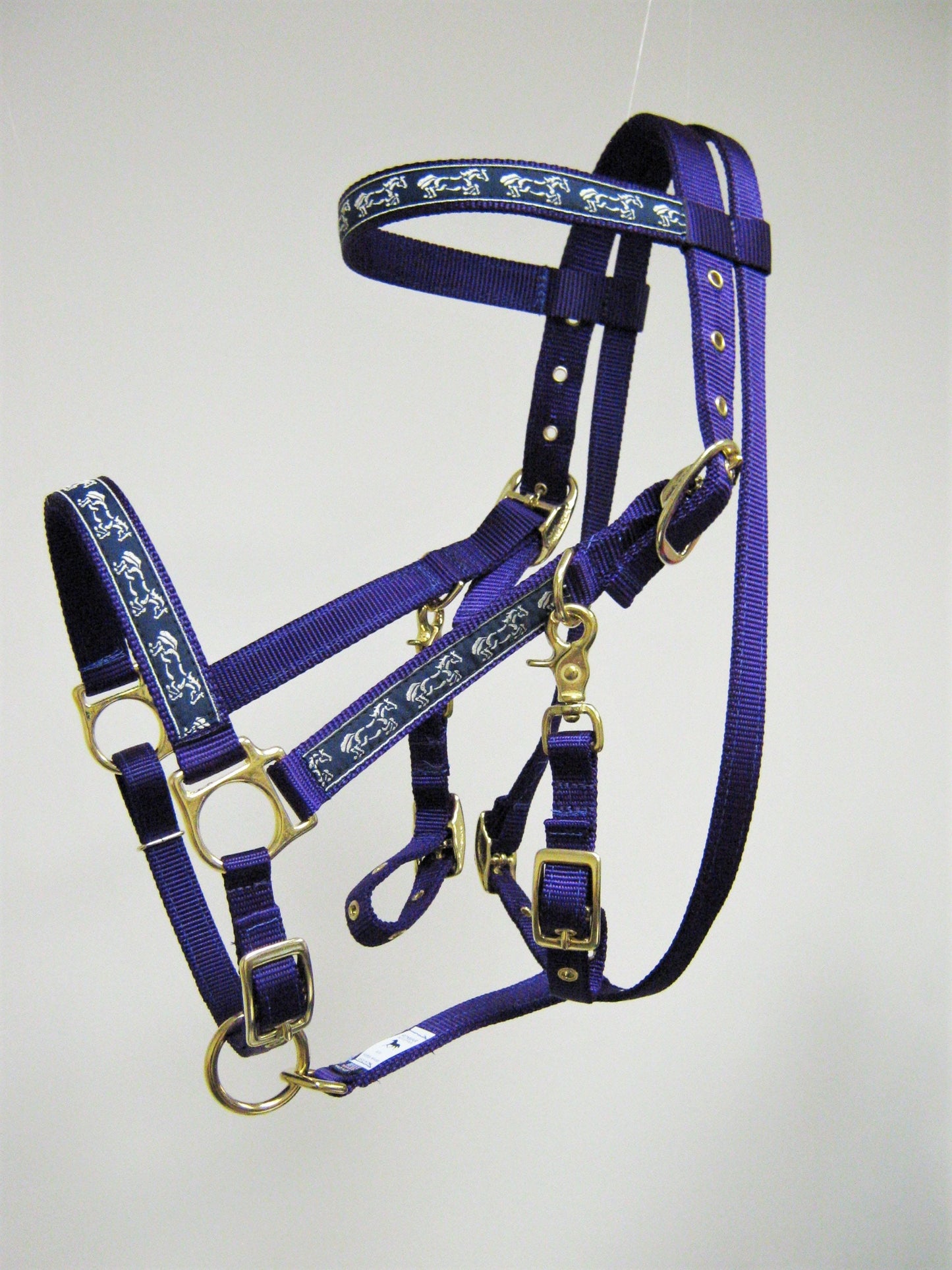 Wild Horses Horse Halter Bridle Combination