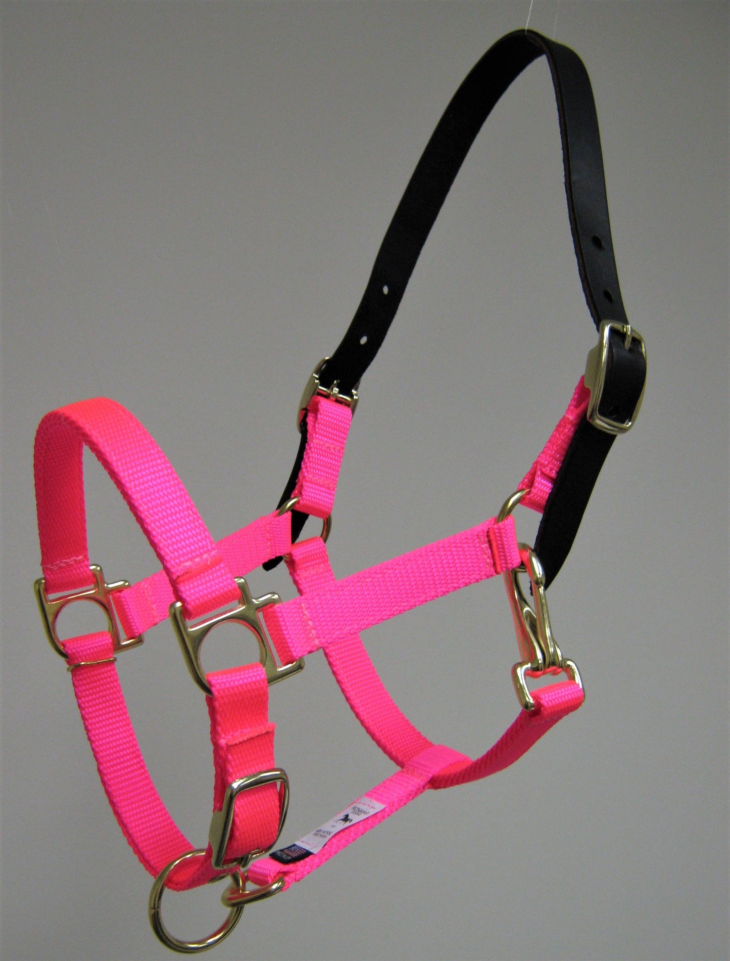Breakaway Leather Crown Mini Horse Halter