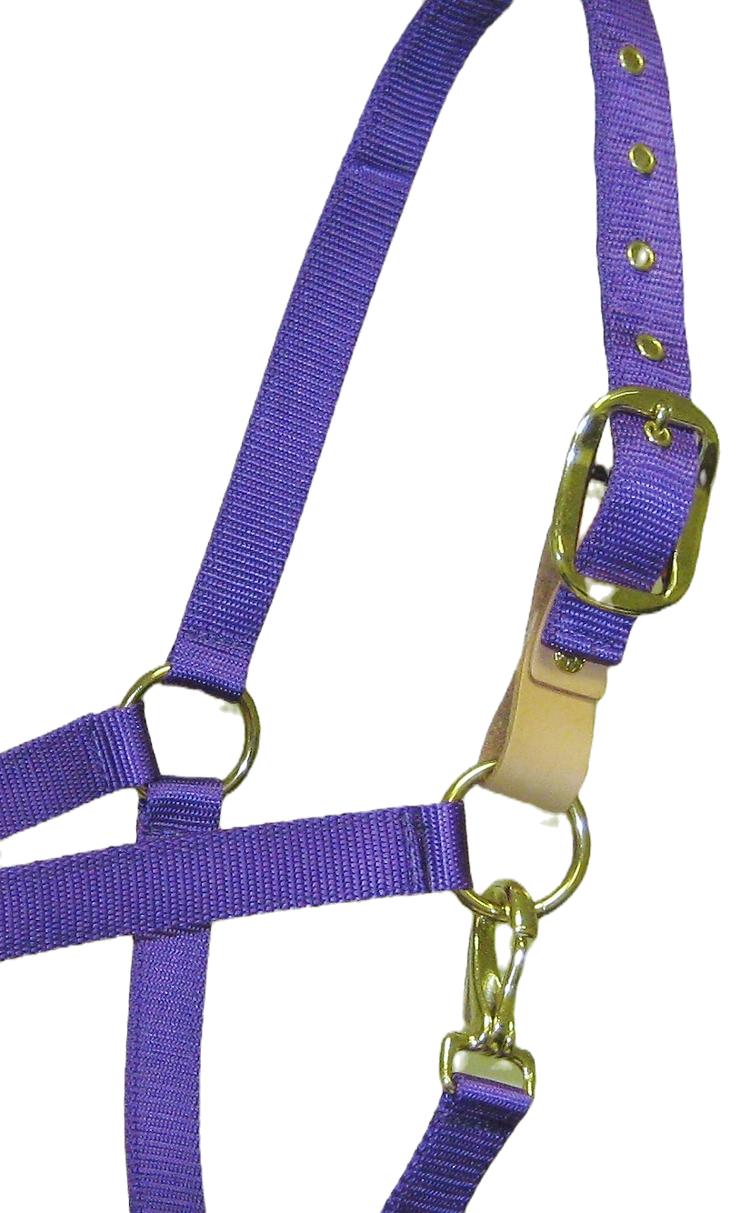 Breast Cancer Awareness Horse Halter