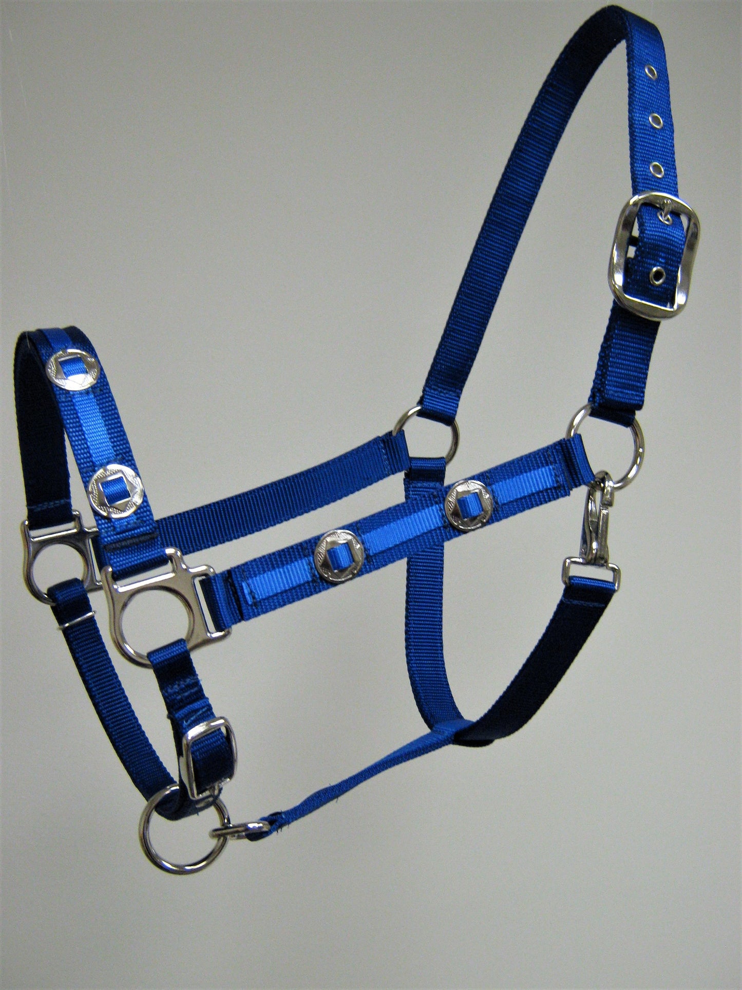 Outlaw Concho Horse Halter