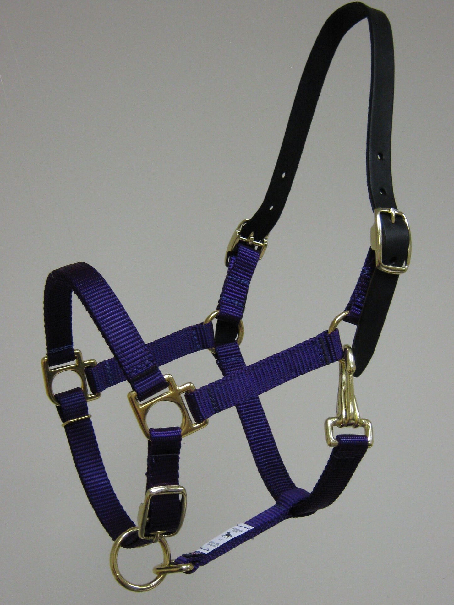 Breakaway Leather Crown Mini Horse Halter