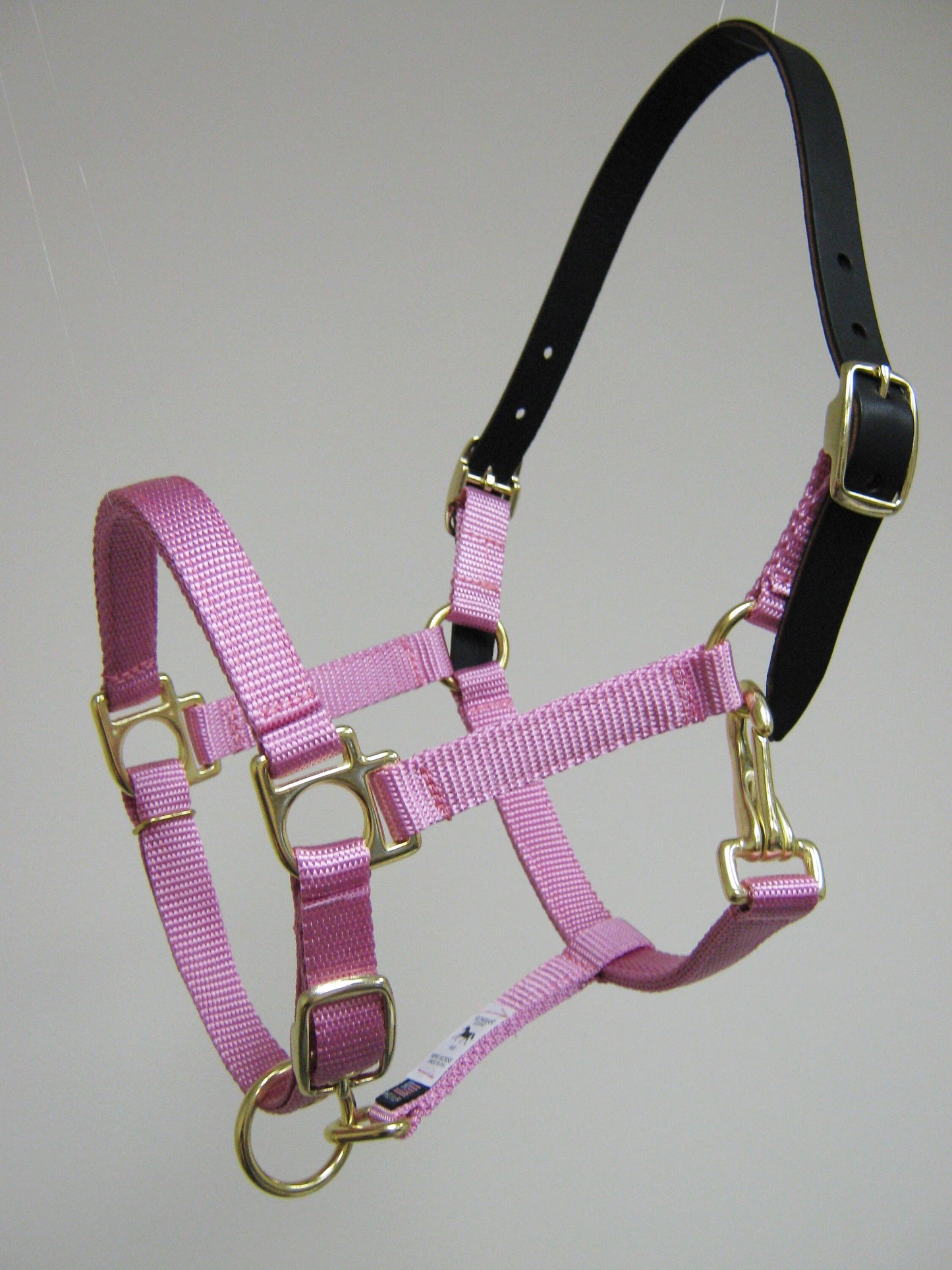 Breakaway Leather Crown Mini Horse Halter