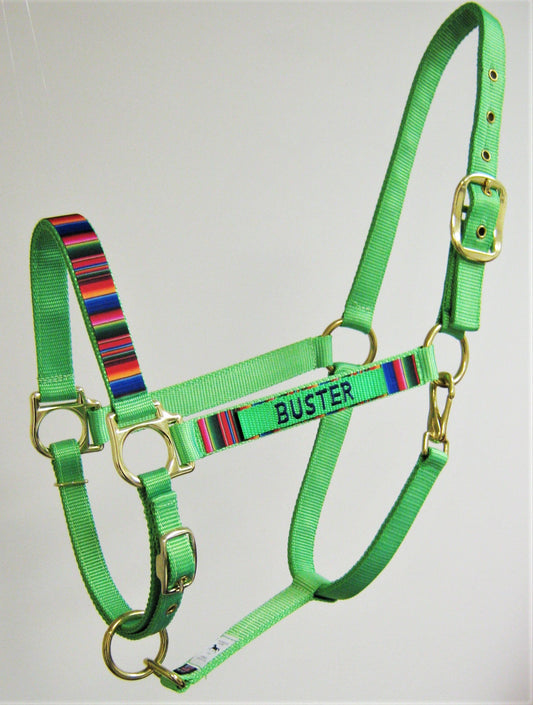 Personalized Designed Horse Halter