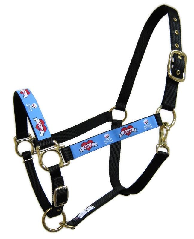 Love Stud Horse Halter