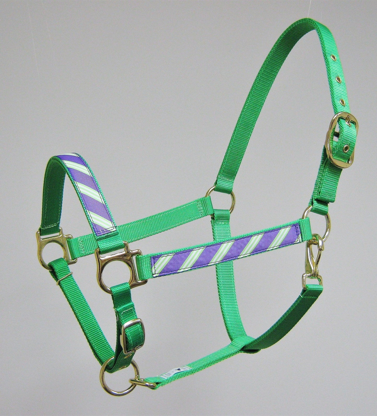 Purple & Green Stripe Horse Halter
