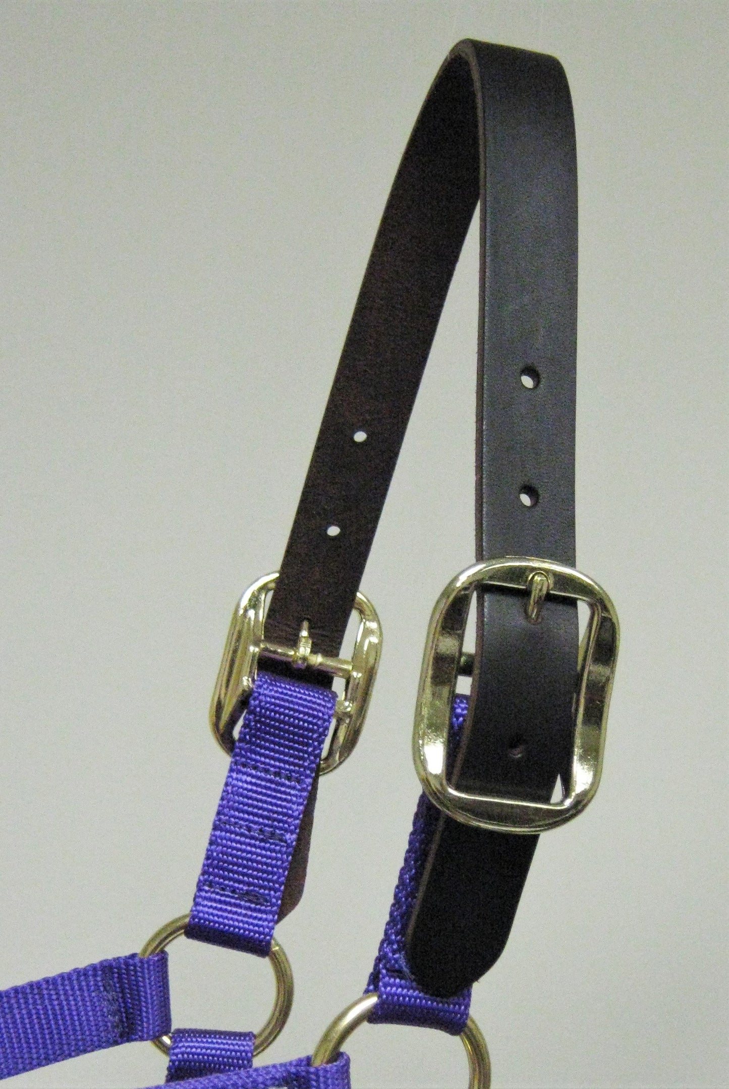 Breast Cancer Awareness Horse Halter